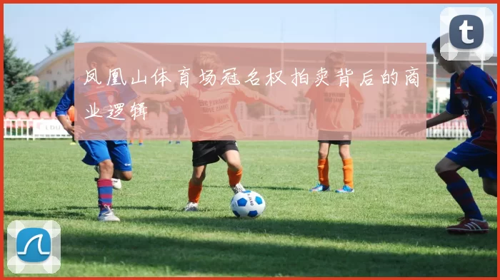凤凰山体育场冠名权拍卖背后的商业逻辑