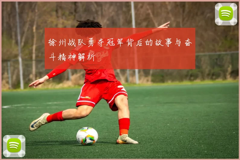 徐州战队勇夺冠军背后的故事与奋斗精神解析