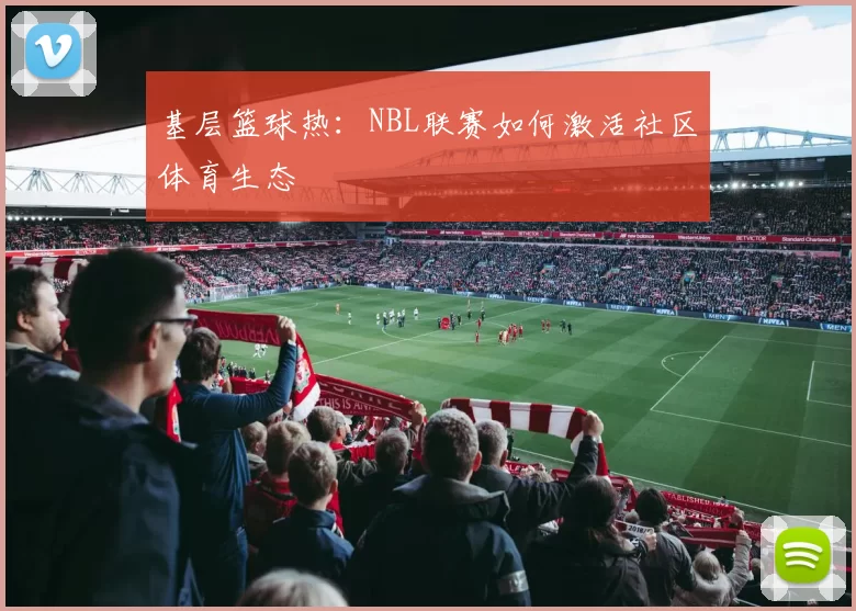 基层篮球热：NBL联赛如何激活社区体育生态